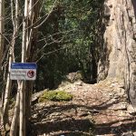 Climbing access in ‘protection areas’ granted without explanation