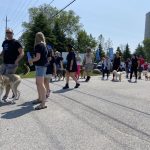 Walk for Pets raises critical funds for Humane Society