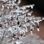 Ontario supporting ice storm recovery in Dufferin County