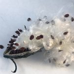 Youth called upon during wartime