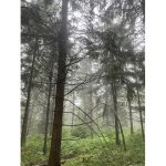 Mulmur land pledged to escarpment corridor