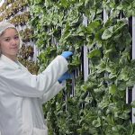 Ag edition: Hydroponics