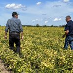 Ag edition: Crop protection