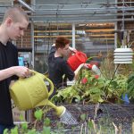 Plant sale helps fund green industries projects at high school